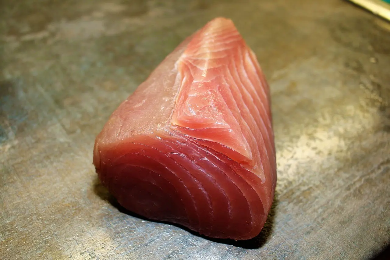 Fransk Fisk i Krydsord