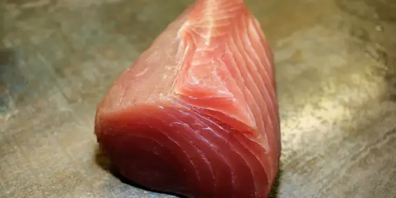 Fransk Fisk i Krydsord