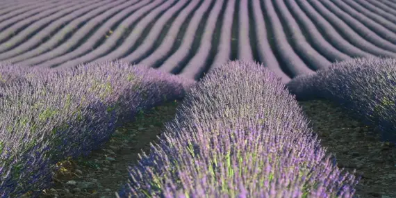 Hvordan er vejret i Frankrig i juni måned?