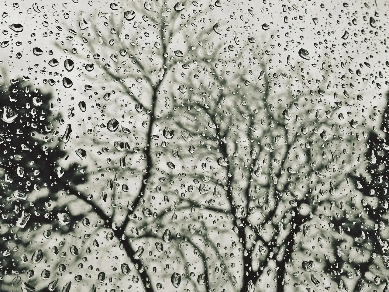 Hvordan er vejret i Frankrig i november?