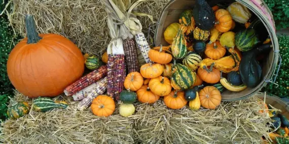 Hvordan er vejret i Marseille i november?