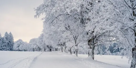 Hvordan er vejret i Paris i maj måned?